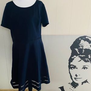 NWOT Career Navy blue fit and flare sheath dress